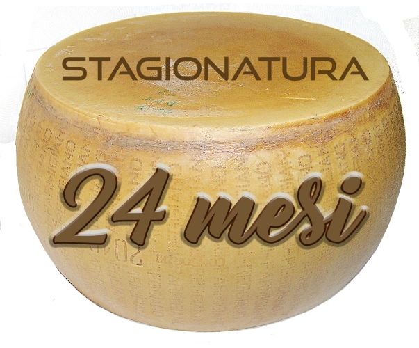 Parmigiano Reggiano DOP 24 mesi forma intera