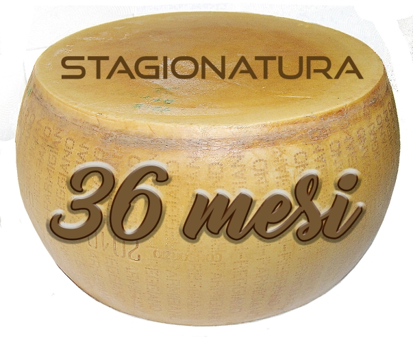 Parmigiano-Reggiano DOP 36 mesi forma intera